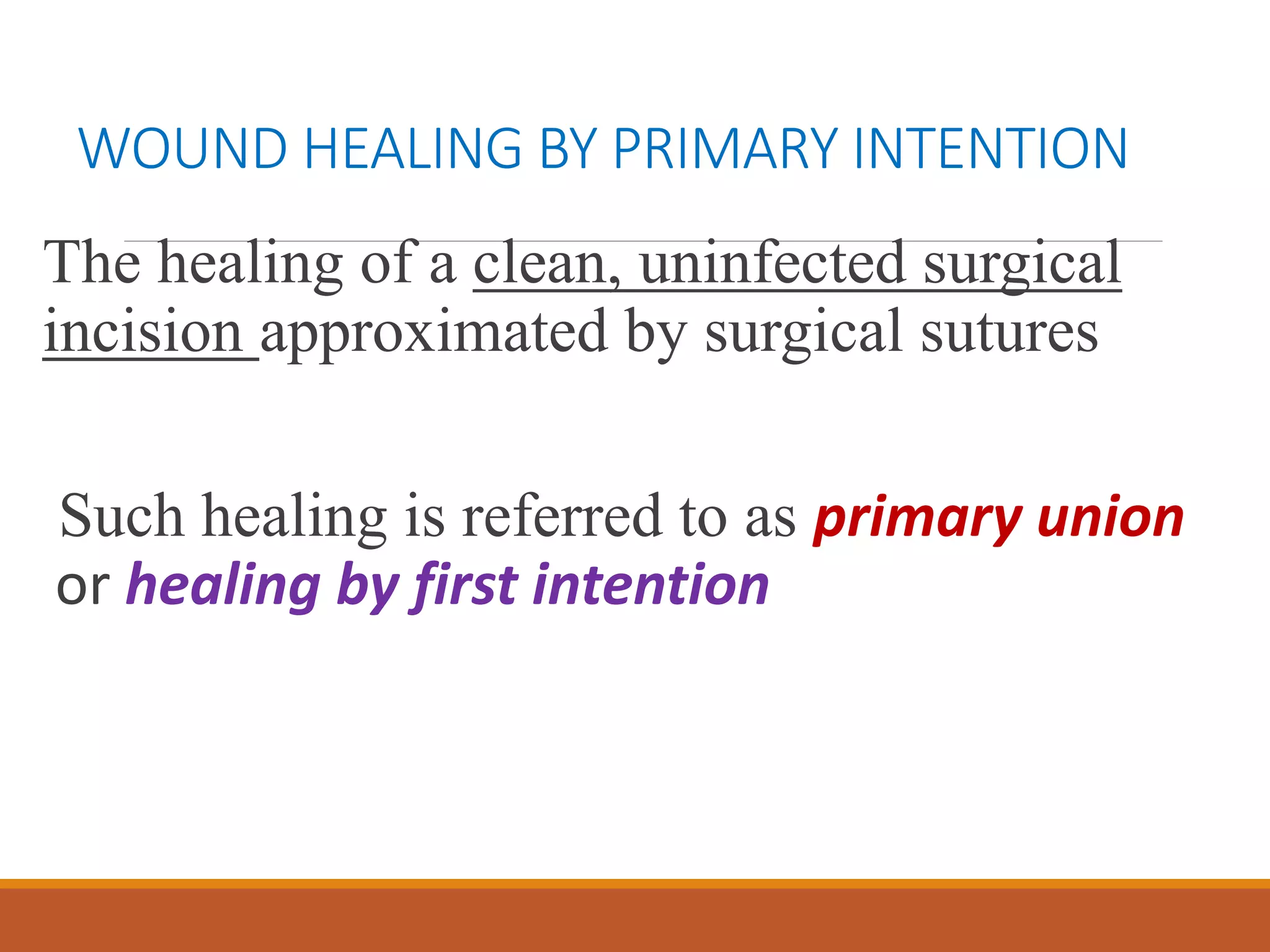 4.Wound Healing.pptx