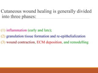 Cutaneous wound healing is generally divided
into three phases:
(1) inflammation (early and late);
(2) granulation tissue formation and re-epithelialization
(3) wound contraction, ECM deposition, and remodelling
 