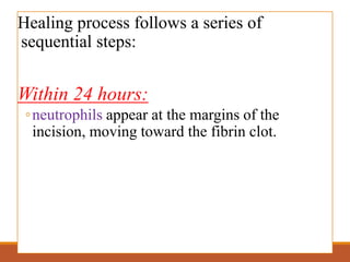 Healing process follows a series of
sequential steps:
Within 24 hours:
◦neutrophils appear at the margins of the
incision, moving toward the fibrin clot.
 