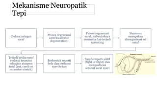 Mekanisme Neuropatik
Tepi
Cedera jaringan
saraf
Proses degenerasi
saraf (wallerian
degeneration)
Proses regenerasi
saraf, terbentuknya
neuroma dan terjadi
sprouting
Neuroma
merupakan
disorganisasi sel
saraf
Terjadi ketika saraf
cedera/ terputus
sebagian ataupun
total (cut, crash or
excessive stretch)
Berbentuk seperti
bola dan terdapat
nyeri tekan
Saraf simpatis aktif
(fight or filght) dan
mengaktivasi
serabut saraf nyeri
 