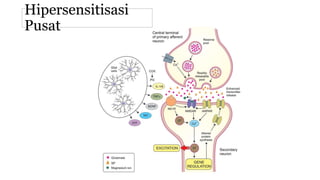 Hipersensitisasi
Pusat
 