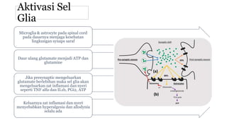 Aktivasi Sel
Glia
Microglia & astrocyte pada spinal cord
pada dasarnya menjaga kesehatan
lingkungan synaps saraf
Daur ulang glutamate menjadi ATP dan
glutamine
Jika presynaptic mengeluarkan
glutamate berlebihan maka sel glia akan
mengeluarkan zat inflamasi dan nyeri
seperti TNF alfa dan IL1b, PGi2, ATP
Keluarnya zat inflamasi dan nyeri
menyebabkan hyperalgesia dan allodynia
selalu ada
 