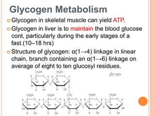4.3 gluconeogenesis&glycogen&ppp.ppt