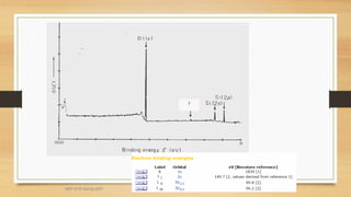 MEF 3100 Spring 2007
 