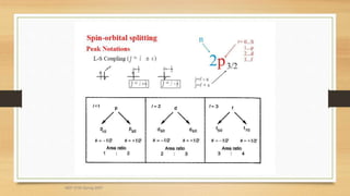 MEF 3100 Spring 2007
 