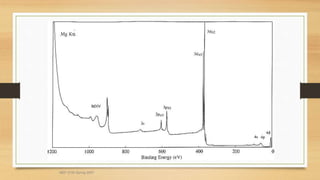 MEF 3100 Spring 2007
 