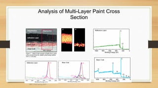 Analysis of Multi-Layer Paint Cross
Section
MEF 3100 Spring 2007
 