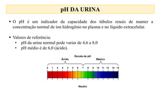4.Exames de urina.pptx