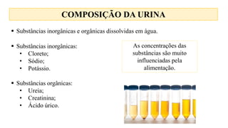 4.Exames de urina.pptx
