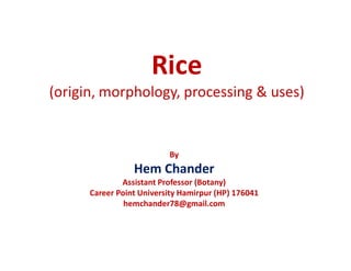Rice
(origin, morphology, processing & uses)
By
Hem Chander
Assistant Professor (Botany)
Career Point University Hamirpur (HP) 176041
hemchander78@gmail.com
 