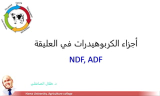 ‫العلي‬ ‫في‬ ‫الكربوهيدرات‬ ‫أجزاء‬
‫قة‬
NDF, ADF
Hama University, Agriculture college
‫د‬
.
‫ظلال‬
‫الصافتلي‬
 