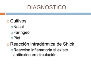 DIAGNOSTICO
 Cultivos
Nasal
Faríngeo
Piel
 Reacción intradérmica de Shick
Reacción inflamatoria si existe
antitoxina en circulación
 