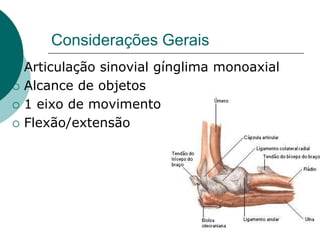 Considerações Gerais
 Articulação sinovial gínglima monoaxial
 Alcance de objetos
 1 eixo de movimento
 Flexão/extensão
 