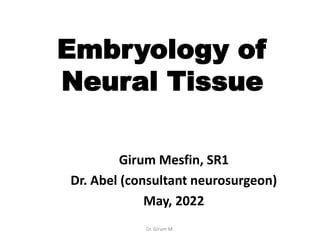 Embryology of
Neural Tissue
Girum Mesfin, SR1
Dr. Abel (consultant neurosurgeon)
May, 2022
Dr. Girum M.
 