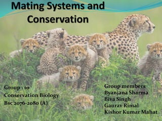 Group : 10
Conservation Biology
Bsc 2076-2080 (A)
Group members
Byanjana Sharma
Biva Singh
Gaurav Rimal
Kishor Kumar Mahat
 