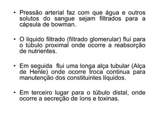• Pressão arterial faz com que água e outros
solutos do sangue sejam filtrados para a
cápsula de bowman.
• O liquido filtrado (filtrado glomerular) flui para
o túbulo proximal onde ocorre a reabsorção
de nutrientes.
• Em seguida flui uma longa alça tubular (Alça
de Henle) onde ocorre troca continua para
manutenção dos constituintes líquidos.
• Em terceiro lugar para o túbulo distal, onde
ocorre a secreção de íons e toxinas.
 