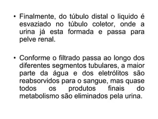 • Finalmente, do túbulo distal o liquido é
esvaziado no túbulo coletor, onde a
urina já esta formada e passa para
pelve renal.
• Conforme o filtrado passa ao longo dos
diferentes segmentos tubulares, a maior
parte da água e dos eletrólitos são
reabsorvidos para o sangue, mas quase
todos os produtos finais do
metabolismo são eliminados pela urina.
 
