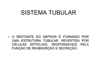 SISTEMA TUBULAR
• O RESTANTE DO NEFRON É FORMADO POR
UMA ESTRUTURA TUBULAR, REVESTIDA POR
CÉLULAS EPITELIAIS, RESPONSÁVEIS PELA
FUNÇÃO DE REABSORÇÃO E SECREÇÃO.
 