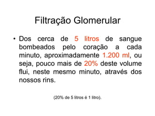 Filtração Glomerular
• Dos cerca de 5 litros de sangue
bombeados pelo coração a cada
minuto, aproximadamente 1.200 ml, ou
seja, pouco mais de 20% deste volume
flui, neste mesmo minuto, através dos
nossos rins.
(20% de 5 litros é 1 litro).
 
