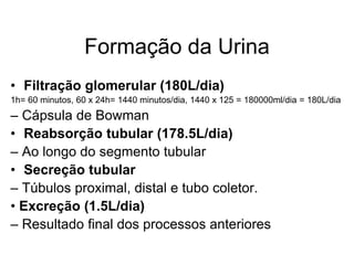 Formação da Urina
• Filtração glomerular (180L/dia)
1h= 60 minutos, 60 x 24h= 1440 minutos/dia, 1440 x 125 = 180000ml/dia = 180L/dia
– Cápsula de Bowman
• Reabsorção tubular (178.5L/dia)
– Ao longo do segmento tubular
• Secreção tubular
– Túbulos proximal, distal e tubo coletor.
• Excreção (1.5L/dia)
– Resultado final dos processos anteriores
 