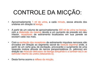 CONTROLE DA MICÇÃO:
• Aproximadamente 1 ml de urina, a cada minuto, escoa através dos
ureteres em direção à bexiga.
• A partir de um volume de aproximadamente 400 ml de urina na bexiga,
com a distensão da mesma devido a um aumento de pressão em seu
interior, receptores de estiramento localizados em sua parede se
excitam cada vez mais.
• Com a excitação dos receptores de estiramento impulsos nervosos são
enviados em direção ao segmento sacral da medula espinhal onde, a
partir de um certo grau de excitação, provocarão o surgimento de uma
resposta motora através de nervos parassimpáticos (n. pélvicos) em
direção ao músculo detrussor da bexiga (forçando-o a contrair-se) e ao
esfíncter interno da uretra (relaxando-o).
• Desta forma ocorre o reflexo da micção.
 