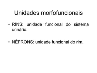 Unidades morfofuncionais
• RINS: unidade funcional do sistema
urinário.
• NÉFRONS: unidade funcional do rim.
 