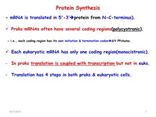 Protein Synthesis
- mRNA is translated in 5'-3’protein from N-C-terminus).
 Proks mRNAs often have several coding regions(polycystronic).
- i.e., each coding region has its own initiation & termination codond/t PPchains.
 Each eukaryotic mRNA has only one coding region(monocistronic).
- In proks translation is coupled with transcription but not in euks.
- Translation has 4 steps in both proks & eukaryotic cells.
9/27/2023 1
 