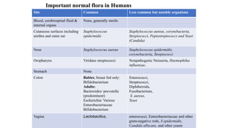 Site Common Less common but notable organisms
Blood, cerebrospinal fluid &
internal organs
None, generally sterile
Cutaneous surfaces including
urethra and outer ear
Staphylococcus
epidermidis
Staphylococcus aureus, corynebacteria,
Streptococci, Peptostreptococci and Yeast
(Candida)
Nose Staphylococcus aureus Staphylococcus epidermidis,
corynebacteria, Streptococci
Oropharynx Viridans streptococci Nonpathogenic Neisseria, Haemophilus
influenzae,
Stomach None
Colon Babies; breast fed only:
Bifidobacterium
Adults:
Bacteroides/ prevotella
(predominent)
Escherichia/ Various
Enterobacteriaceae
Bifidobacterium
Enterococci,
Streptococci,
Diphtheroids,
Fusobacterium,
S. aureus,
Yeast
Vagina Lactobacillus, enterococci, Enterobacteriaceae and other
gram-negative rods, S epidermidis,
Candida albicans, and other yeasts
Important normal flora in Humans
 
