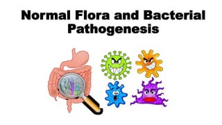 Normal Flora and Bacterial
Pathogenesis
 