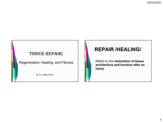 18/Oct/2021
1
Tissue Repair:
Regeneration, Healing, and Fibrosis
By: Dr. Addisu Alemu
1
REPAIR /HEALING/
Refers to the restoration of tissue
architecture and function after an
injury.
 