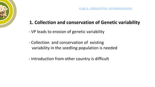 1. Collection and conservation of Genetic variability
- VP leads to erosion of genetic variability
- Collection and conservation of existing
variability in the seedling population is needed
- Introduction from other country is difficult
 