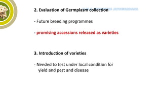 2. Evaluation of Germplasm collection
- Future breeding programmes
- promising accessions released as varieties
3. Introduction of varieties
- Needed to test under local condition for
yield and pest and disease
-conditions
 