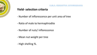 Yield- selection criteria
- Number of inflorescence per unit area of tree
- Ratio of male to hermaphrodite
- Number of nuts/ inflorescence
- Mean nut weight per tree
- High shelling %.
 