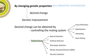 By changing genetic properties
desired change
Genetic improvement
Desired change can be obtained by
- controlling the mating system
- Selection
Cross-Pollination
Hybridization
Inbreeding
Gene Editing
Natural Selection
Artificial Selection
Phenotypic Selection
Marker-Assisted Selection (MAS)
Genomic Selection
 