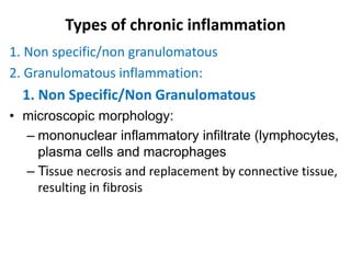 Types of chronic inflammation
1. Non specific/non granulomatous
2. Granulomatous inflammation:
1. Non Specific/Non Granulomatous
• microscopic morphology:
– mononuclear inflammatory infiltrate (lymphocytes,
plasma cells and macrophages
– Tissue necrosis and replacement by connective tissue,
resulting in fibrosis
 