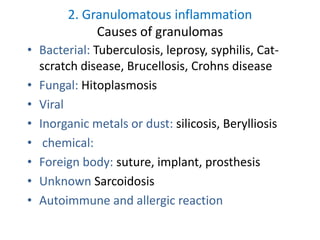 2. Granulomatous inflammation
Causes of granulomas
• Bacterial: Tuberculosis, leprosy, syphilis, Cat-
scratch disease, Brucellosis, Crohns disease
• Fungal: Hitoplasmosis
• Viral
• Inorganic metals or dust: silicosis, Berylliosis
• chemical:
• Foreign body: suture, implant, prosthesis
• Unknown Sarcoidosis
• Autoimmune and allergic reaction
 
