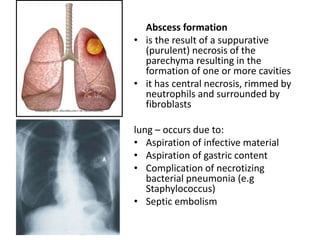 Abscess formation
• is the result of a suppurative
(purulent) necrosis of the
parechyma resulting in the
formation of one or more cavities
• it has central necrosis, rimmed by
neutrophils and surrounded by
fibroblasts
lung – occurs due to:
• Aspiration of infective material
• Aspiration of gastric content
• Complication of necrotizing
bacterial pneumonia (e.g
Staphylococcus)
• Septic embolism
 