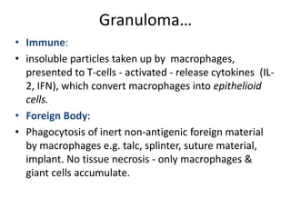 Granuloma…
• Immune:
• insoluble particles taken up by macrophages,
presented to T-cells - activated - release cytokines (IL-
2, IFN), which convert macrophages into epithelioid
cells.
• Foreign Body:
• Phagocytosis of inert non-antigenic foreign material
by macrophages e.g. talc, splinter, suture material,
implant. No tissue necrosis - only macrophages &
giant cells accumulate.
 