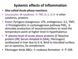 Systemic effects of inflammation
• Also called Acute phase reactions:
• Leucocytes → cytokines → TNF, IL-1, IL-6 → other
cytokines, proteins
• Fever: Pyrogens (exogenous- LPS, endogenous- IL1, TNF)
→ Prostaglandins in cyclooxygenase pathway PGE2 →
stimulate production of neurotransmitters to reset the
temperature point at higher level in hypothalamus
• ↑ plasma level of acute phase proteins (C Reactive
protein CRP, Serum Amyloid A (SAA), Fibrinogen)
synthesized in liver due to IL-6. Bind to microbial surface,
act as opsonins, fix complement.
• Fibrinogen binds RBCs → rouleaux formation → ↑ ESR.
 