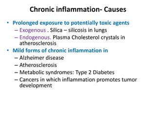 Chronic inflammation- Causes
• Prolonged exposure to potentially toxic agents
– Exogenous . Silica – silicosis in lungs
– Endogenous. Plasma Cholesterol crystals in
atherosclerosis
• Mild forms of chronic inflammation in
– Alzheimer disease
– Atherosclerosis
– Metabolic syndromes: Type 2 Diabetes
– Cancers in which inflammation promotes tumor
development
 