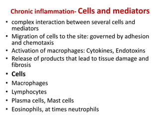 Chronic inflammation- Cells and mediators
• complex interaction between several cells and
mediators
• Migration of cells to the site: governed by adhesion
and chemotaxis
• Activation of macrophages: Cytokines, Endotoxins
• Release of products that lead to tissue damage and
fibrosis
• Cells
• Macrophages
• Lymphocytes
• Plasma cells, Mast cells
• Eosinophils, at times neutrophils
 