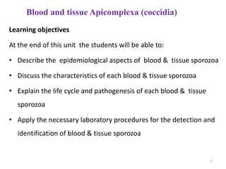 Blood and tissue Apicomplexa (coccidia)
Learning objectives
At the end of this unit the students will be able to:
• Describe the epidemiological aspects of blood & tissue sporozoa
• Discuss the characteristics of each blood & tissue sporozoa
• Explain the life cycle and pathogenesis of each blood & tissue
sporozoa
• Apply the necessary laboratory procedures for the detection and
identification of blood & tissue sporozoa
1
 