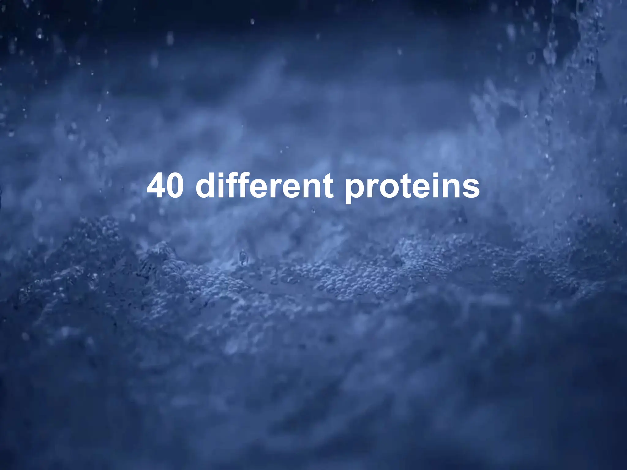 40 different proteins
 