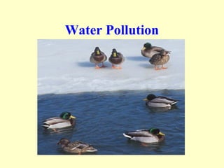 Water Pollution
 