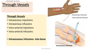 Official (Closed) - Non Sensitive
Through Vessels
Through Vessels
• Intravenous injections
• intravenous infusions
• Intra-arterial injections
• Intra-arterial infusions
• Intraosseous infusions- into bone
Intraosseous infusions
intravenous infusions
Intra-arterial infusions
INP OCTOBER 2023
 