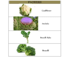 4. Classification of vegetables crops.pptx