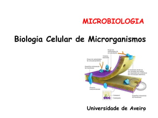 1
MICROBIOLOGIA
Biologia Celular de Microrganismos
Universidade de Aveiro
 