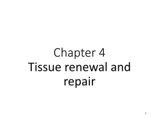 Chapter 4
Tissue renewal and
repair
1
 