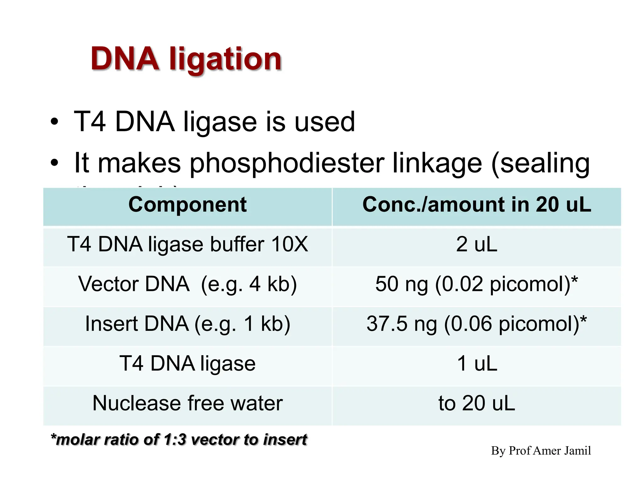 4. 618 Restriction Enzymes and Vectors.ppt