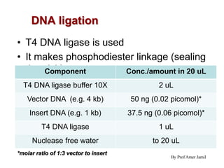 DNA ligation
• T4 DNA ligase is used
• It makes phosphodiester linkage (sealing
the nick)
By Prof Amer Jamil
Component Conc./amount in 20 uL
T4 DNA ligase buffer 10X 2 uL
Vector DNA (e.g. 4 kb) 50 ng (0.02 picomol)*
Insert DNA (e.g. 1 kb) 37.5 ng (0.06 picomol)*
T4 DNA ligase 1 uL
Nuclease free water to 20 uL
*molar ratio of 1:3 vector to insert
 